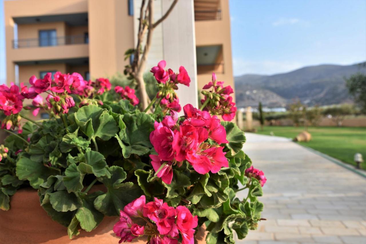 Golden Bay Hotel Apartments Malia Exteriör bild